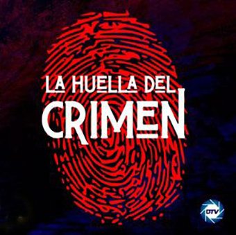 ACTUALIZACIÓN PAGINA WEB - 2